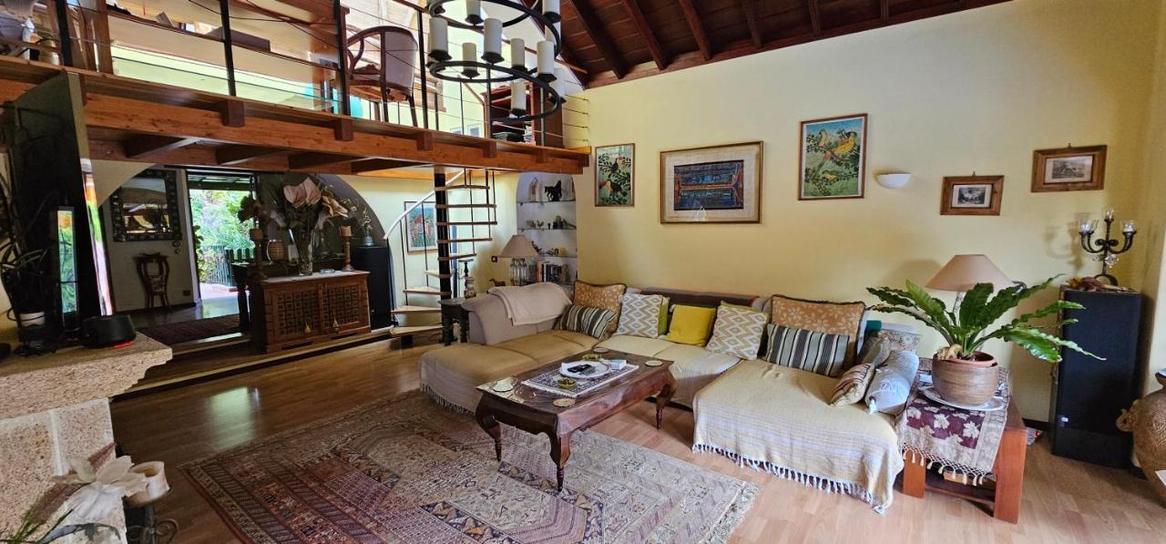 Villa La Paz 2 Puerto de la Cruz  Dış mekan fotoğraf